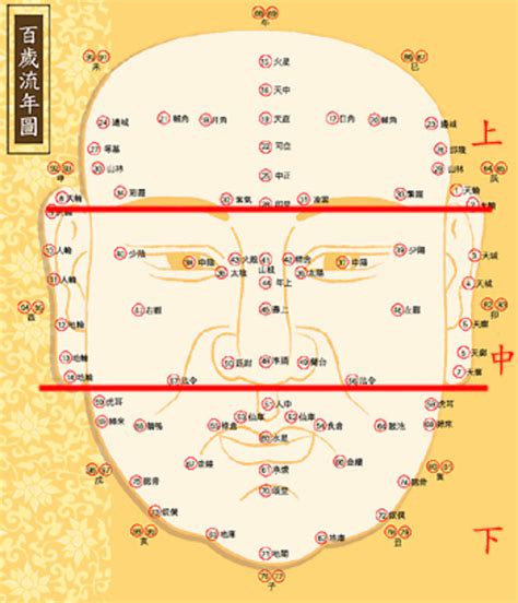 承漿面相